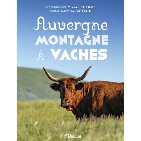 AUVERGNE MONTAGNE A VACHE