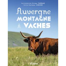 AUVERGNE MONTAGNE A VACHE
