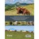 AUVERGNE MONTAGNE A VACHE
