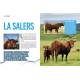 AUVERGNE MONTAGNE A VACHE