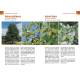 ARBRES & ARBUSTES