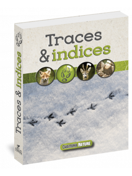 TRACES & INDICES