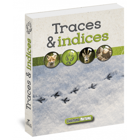 TRACES & INDICES