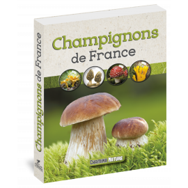 CHAMPIGNONS DE FRANCE