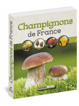 CHAMPIGNONS DE FRANCE