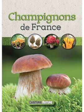 CHAMPIGNONS DE FRANCE