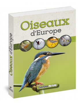 OISEAUX D'EUROPE