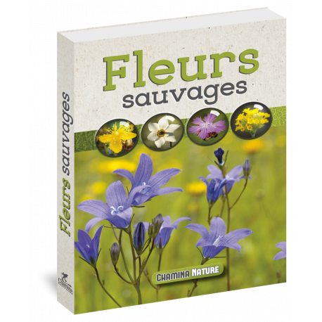 FLEURS SAUVAGES