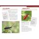 OBSERVER LES INSECTES