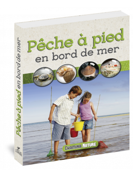 PECHE A PIED EN BORD DE MER