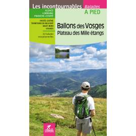 BALLON DES VOSGES PLATEAU DES MILLE ETANGS