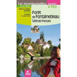 FORET DE FONTAINEBLEAU GATINAIS FRANCAIS