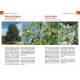 ARBRES & ARBUSTES