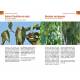 ARBRES & ARBUSTES
