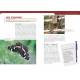 OBSERVER LES INSECTES